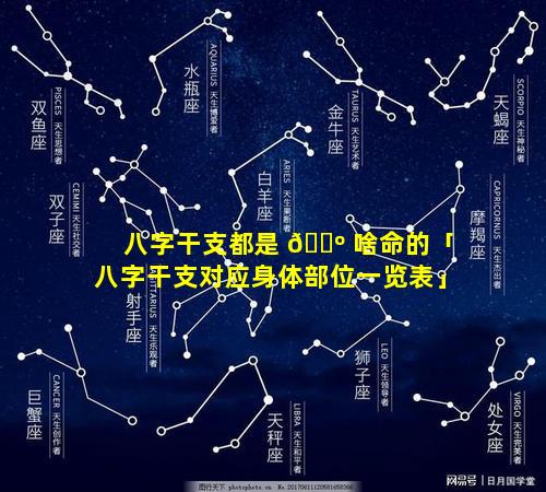 八字干支都是 🐺 啥命的「八字干支对应身体部位一览表」